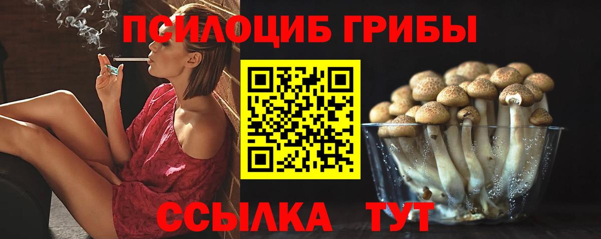 Псилоцибиновые грибы Magic Shrooms Елабуга