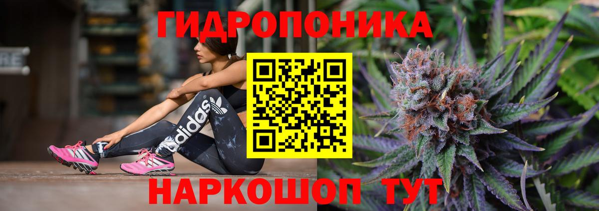 Бошки Шишки марихуана  МАРИХУАНА White Widow  Марихуана Ganja  Вход с VPN  Елабуга 